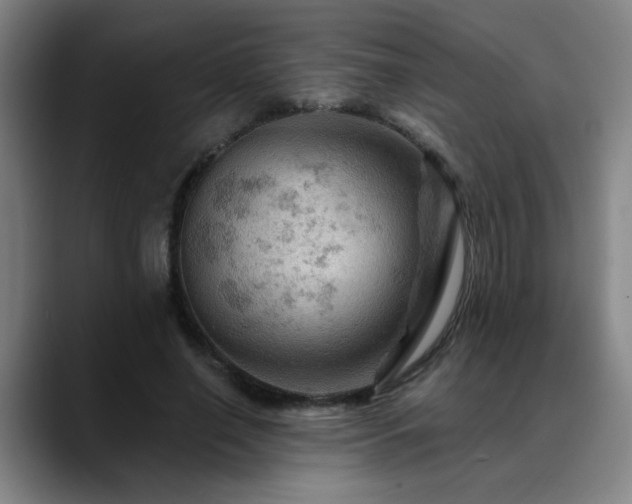 X0000088860638200706151736