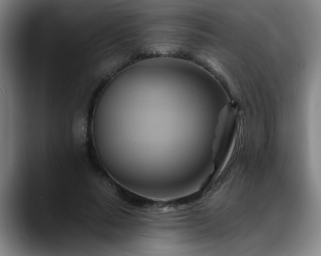 X0000088860640200706151736
