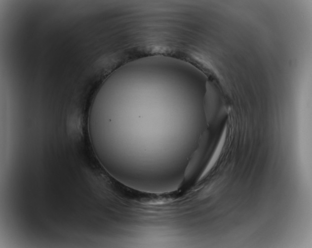X0000088860643200706151736