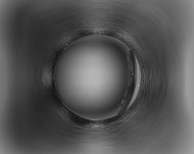 X0000088860644200706151736