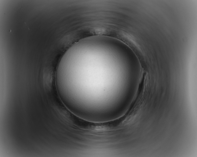 X0000088860645200706151736
