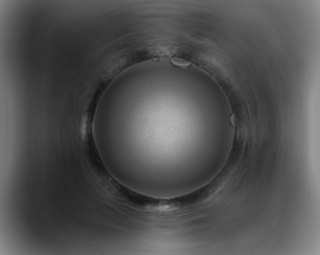 X0000088860647200706151736