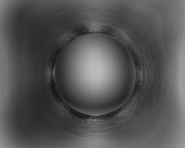 X0000088860648200706151736