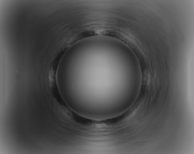 X0000088860650200706151736