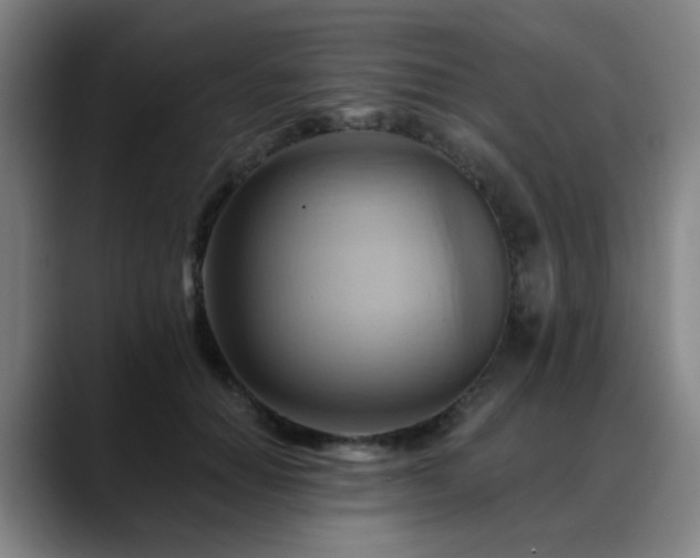 X0000088860654200706151736