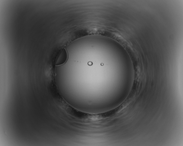X0000088860659200706151736