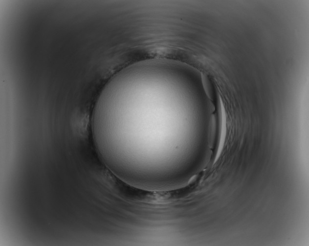 X0000088860660200706151736