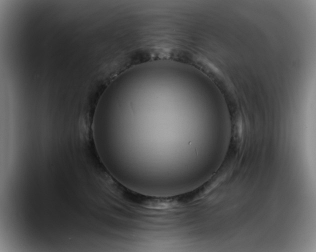 X0000088860661200706151736