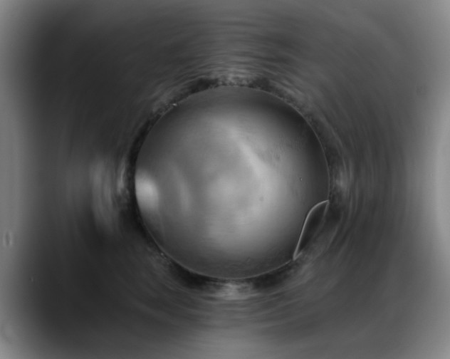 X0000088860663200706151736