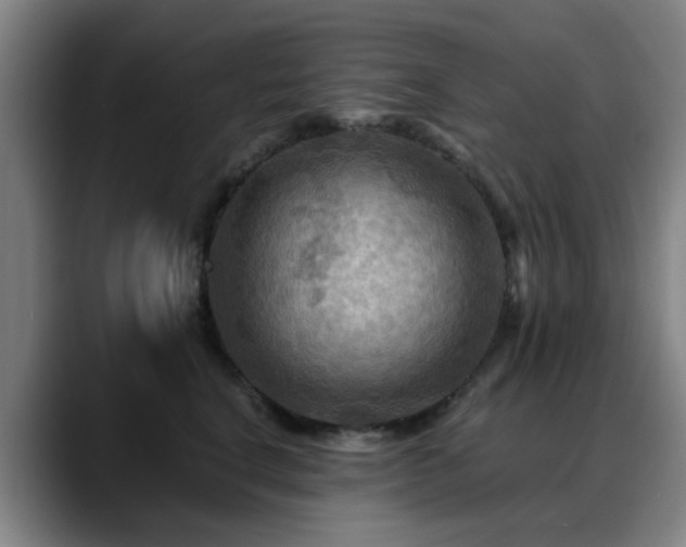 X0000088860664200706151736