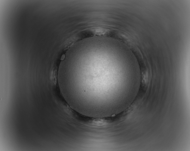 X0000088860666200706151736