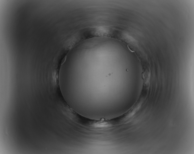 X0000088860669200706151737