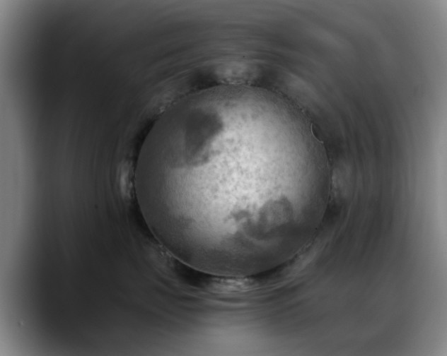 X0000088860671200706151737