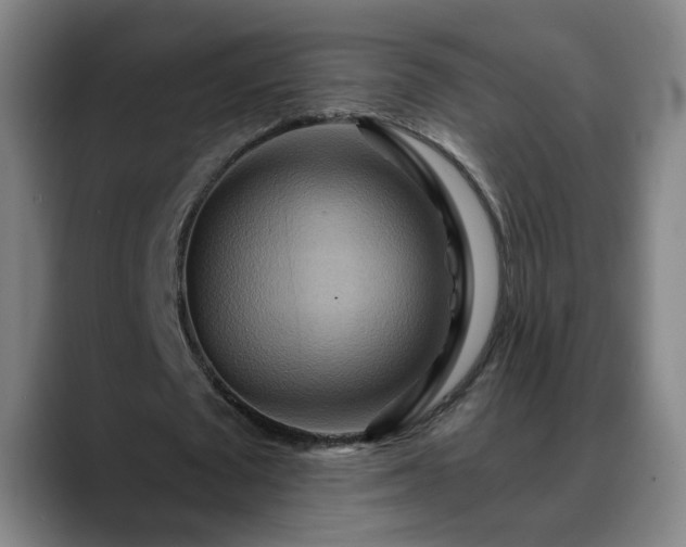 X0000088860673200706151736