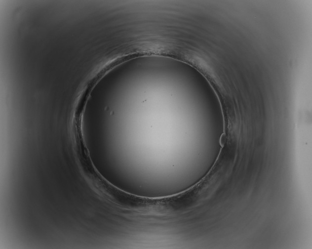 X0000088860674200706151736