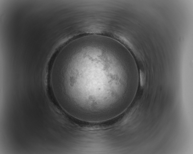 X0000088860675200706151736