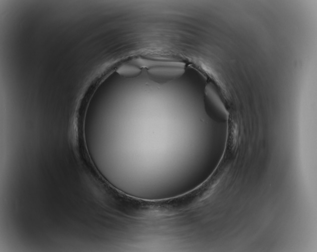 X0000088860678200706151736