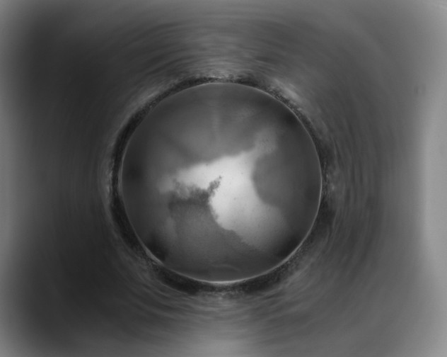 X0000088860679200706151736