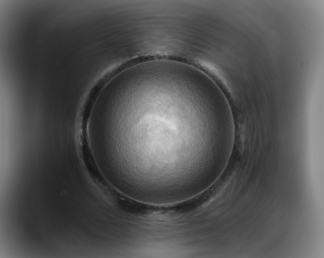 X0000088860680200706151736
