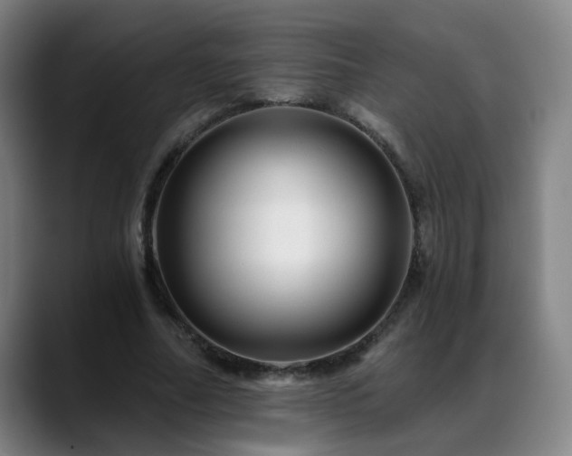X0000088860682200706151736