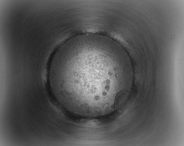X0000088860683200706151736