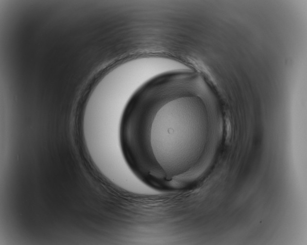 X0000088860684200706151736