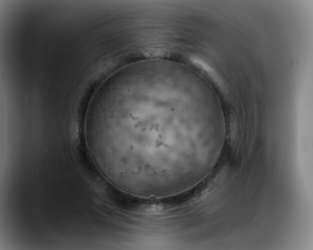 X0000088860687200706151736