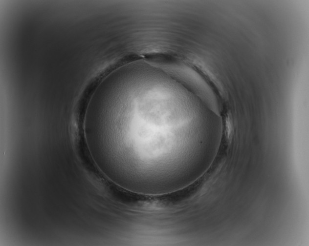 X0000088860688200706151736