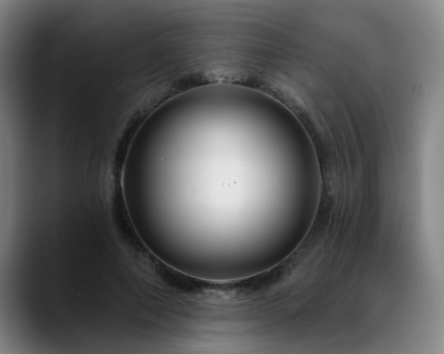 X0000088860690200706151736