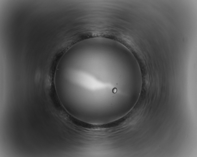 X0000088860691200706151736