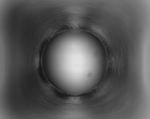 X0000088860694200706151736