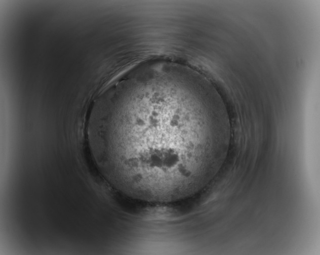 X0000088860695200706151736