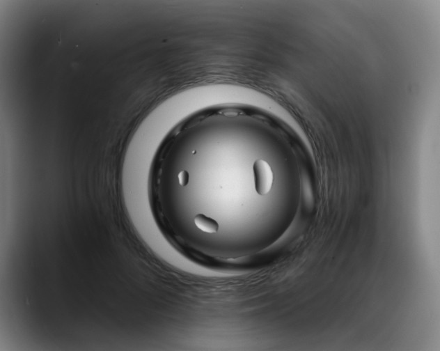 X0000088860696200706151736