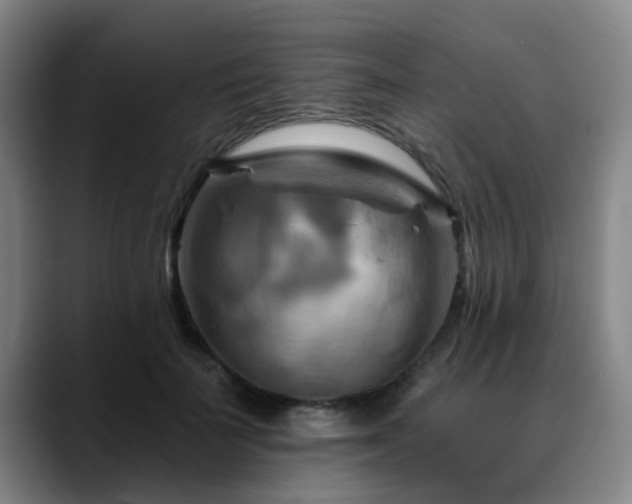 X0000088860699200706151736