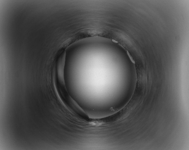 X0000088860700200706151736