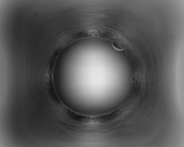 X0000088860702200706151736