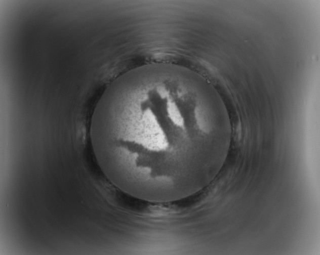 X0000088860703200706151736