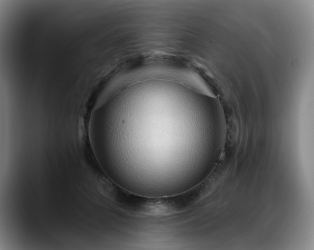 X0000088860704200706151736
