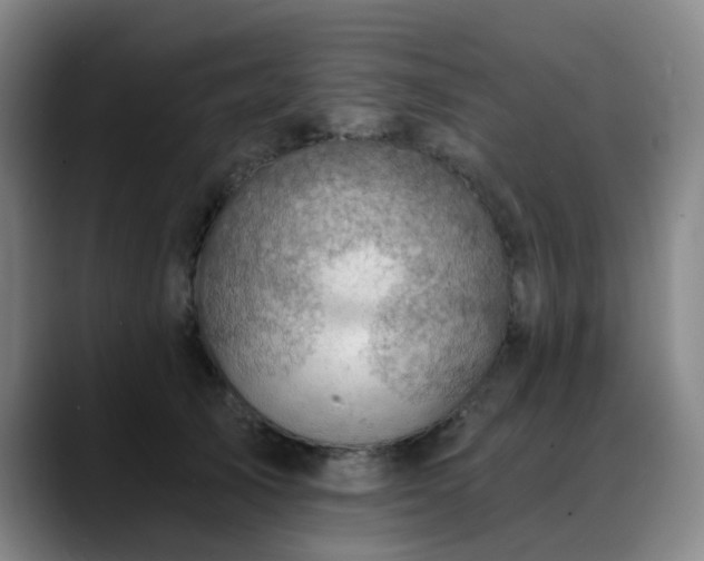 X0000088860705200706151736