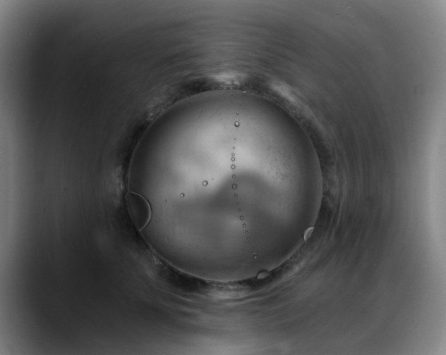 X0000088860707200706151736