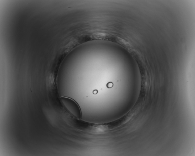 X0000088860711200706151736