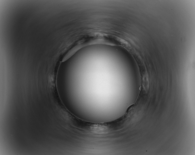 X0000088860714200706151736