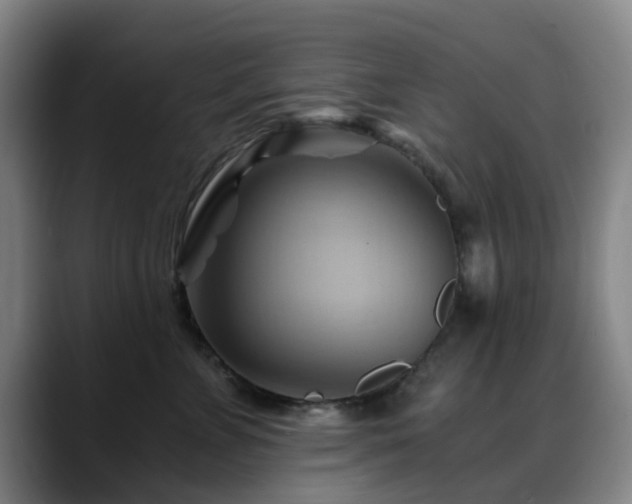X0000088860715200706151736