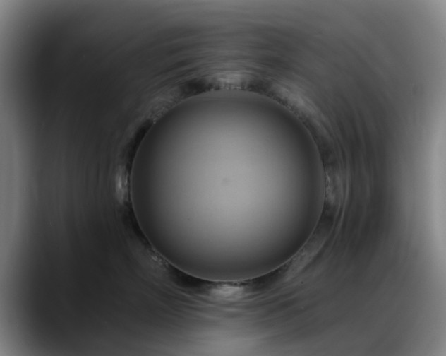 X0000088860718200706151735