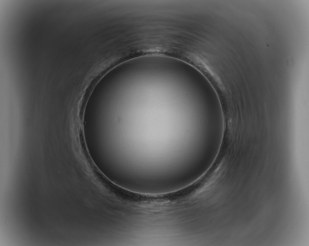 X0000088860721200706151735