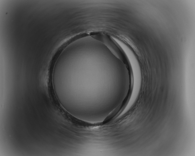 X0000088860724200706151735