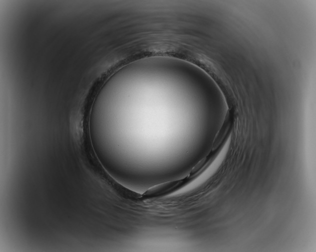 X0000088860727200706151735