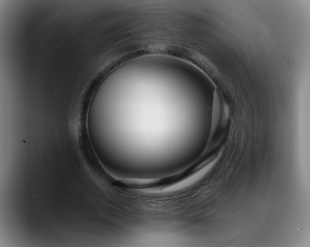 X0000088860728200706151735