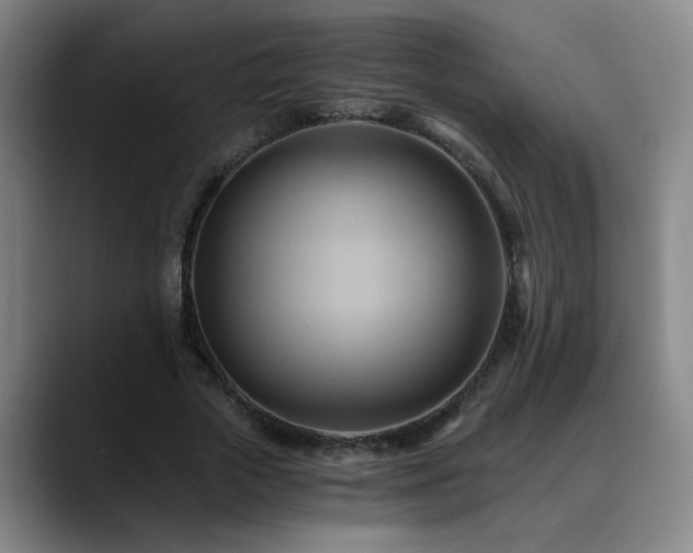 X0000088860729200706151735
