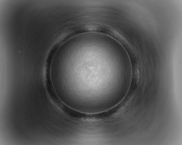 X0000088860730200706151735